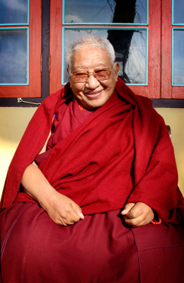 His Holiness Kyabje Taklung Tsetrul Rinpoche
