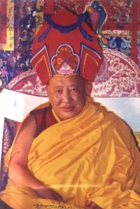 Hänen pyhyytensä Taklung Tsetrul Rinpoche